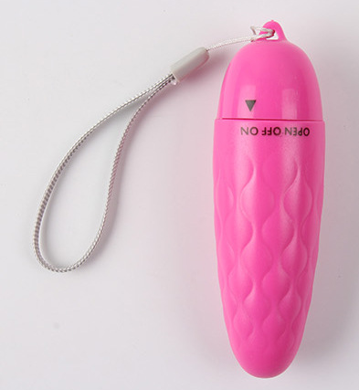 Vibrating Massage Wand and Egg - Adult Pleasure Toys
